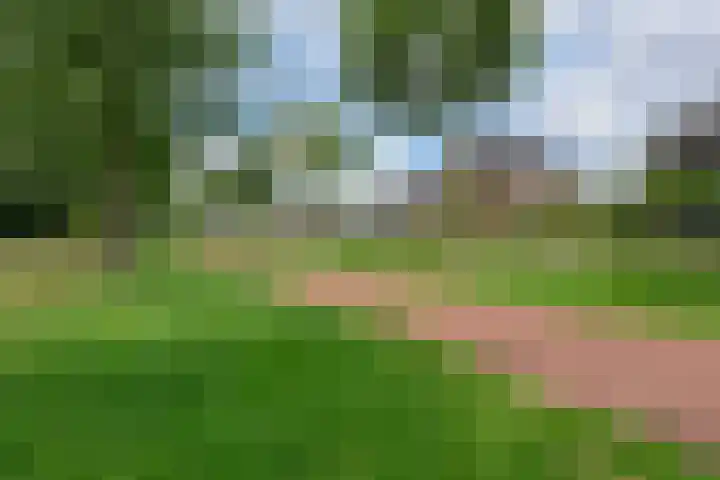 Dwingelderveld 3 Zeewolde thumbnail 5