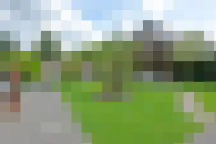 Dwingelderveld 3 Zeewolde thumbnail 50
