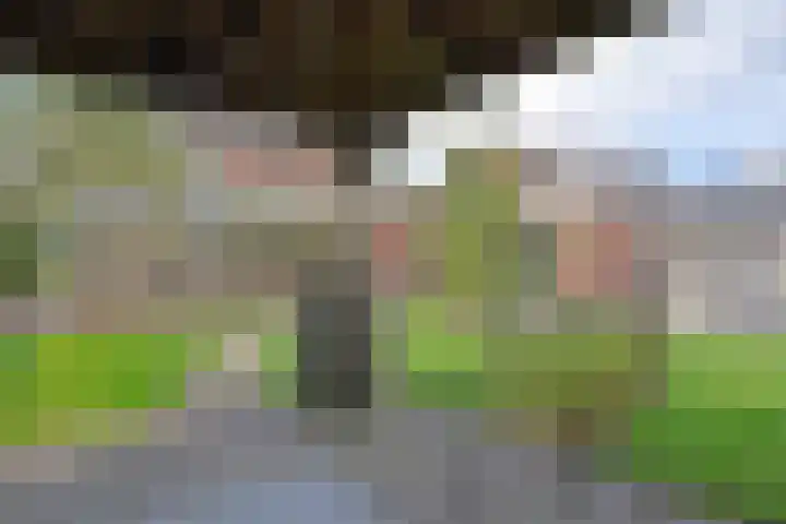 Dwingelderveld 3 Zeewolde thumbnail 51