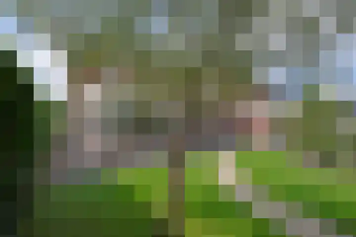 Dwingelderveld 3 Zeewolde thumbnail 52