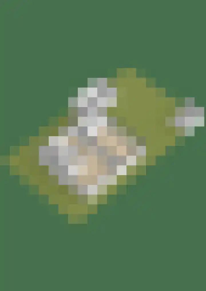 Dwingelderveld 3 Zeewolde thumbnail 60