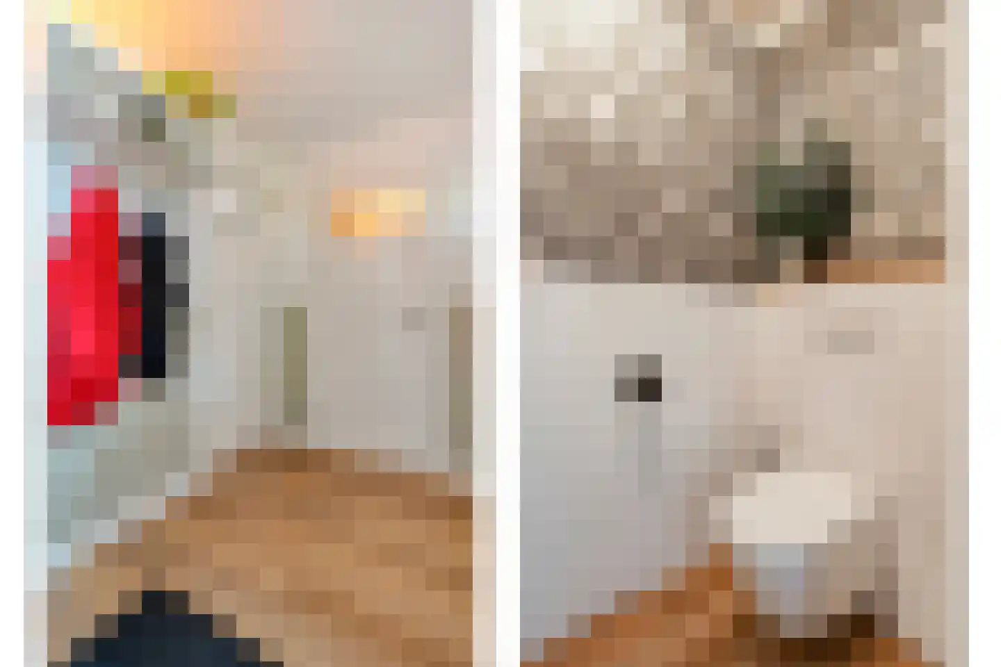 Dwingelerweg 5 a Ansen thumbnail 10