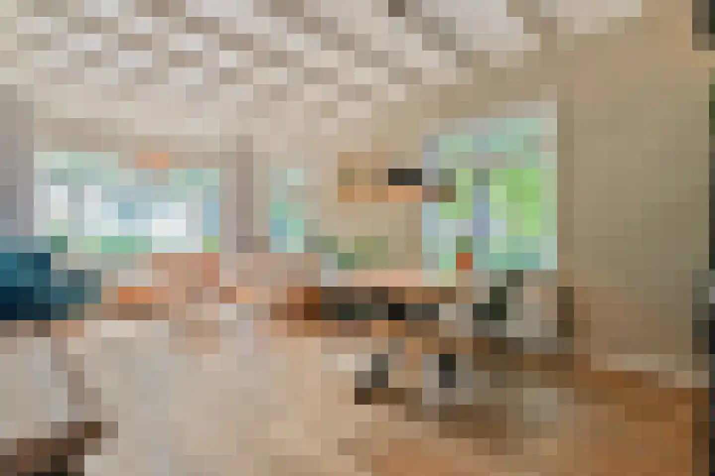 Dwingelerweg 5 a Ansen thumbnail 12