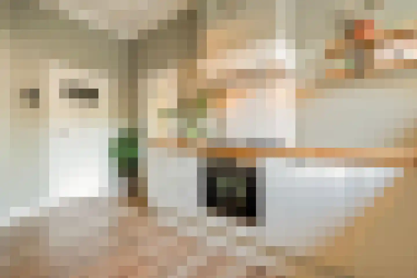 Dwingelerweg 5 a Ansen thumbnail 16