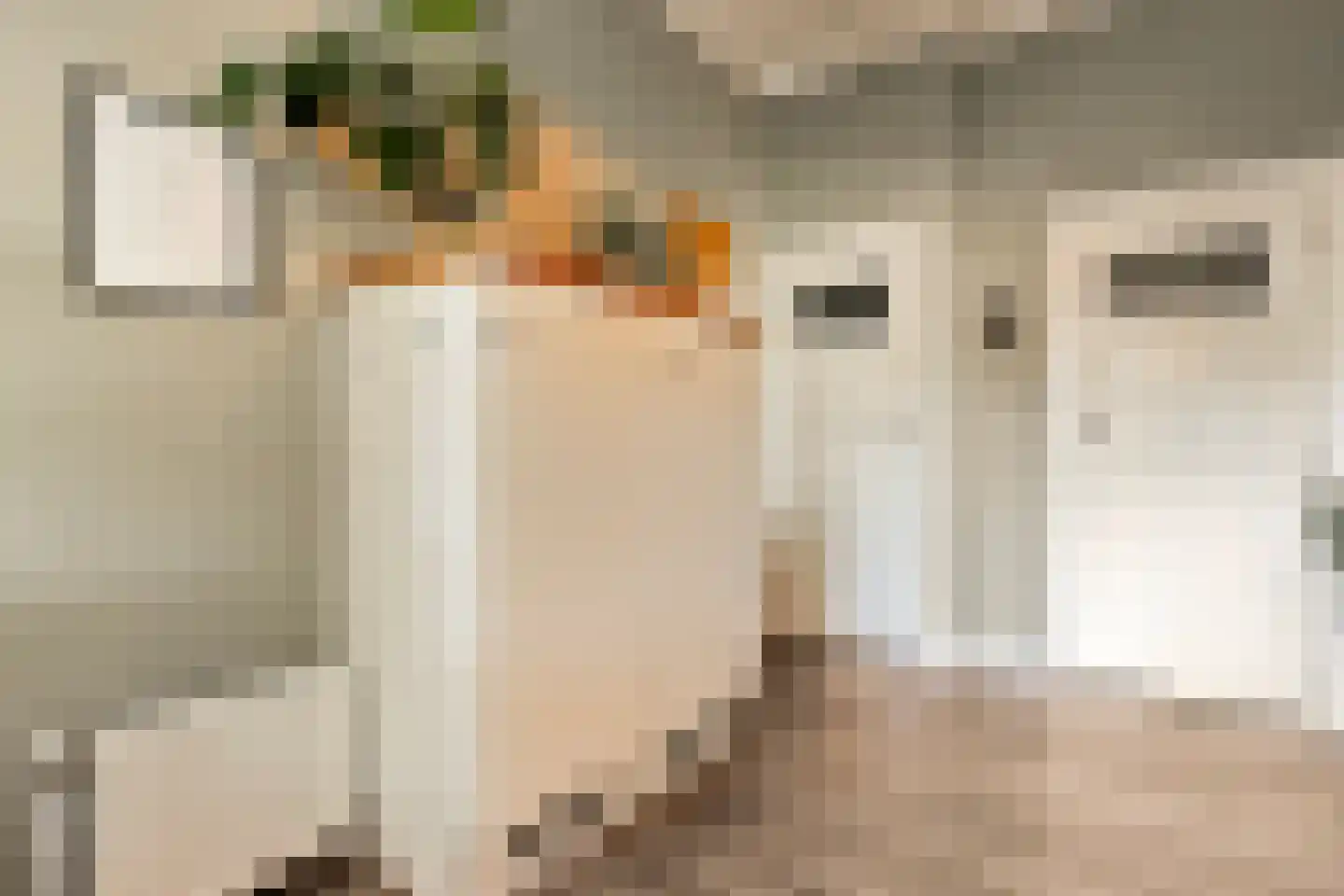 Dwingelerweg 5 a Ansen thumbnail 17