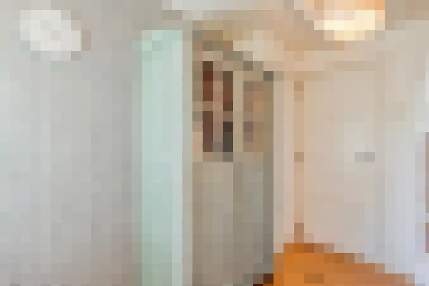 Dwingelerweg 5 a Ansen thumbnail 26