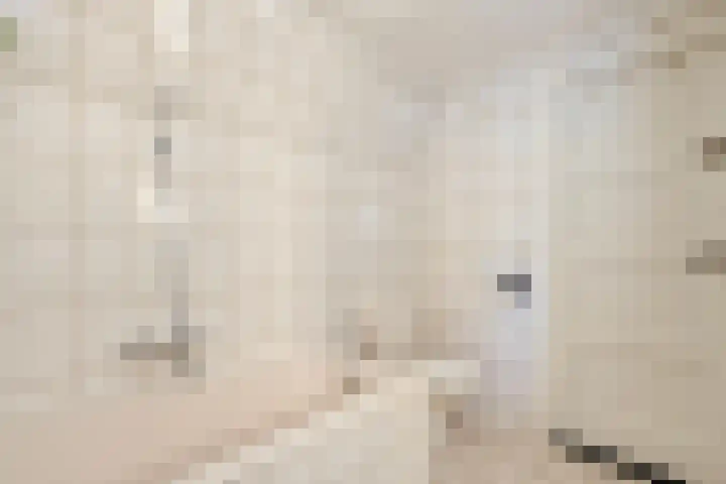 Dwingelerweg 5 a Ansen thumbnail 27