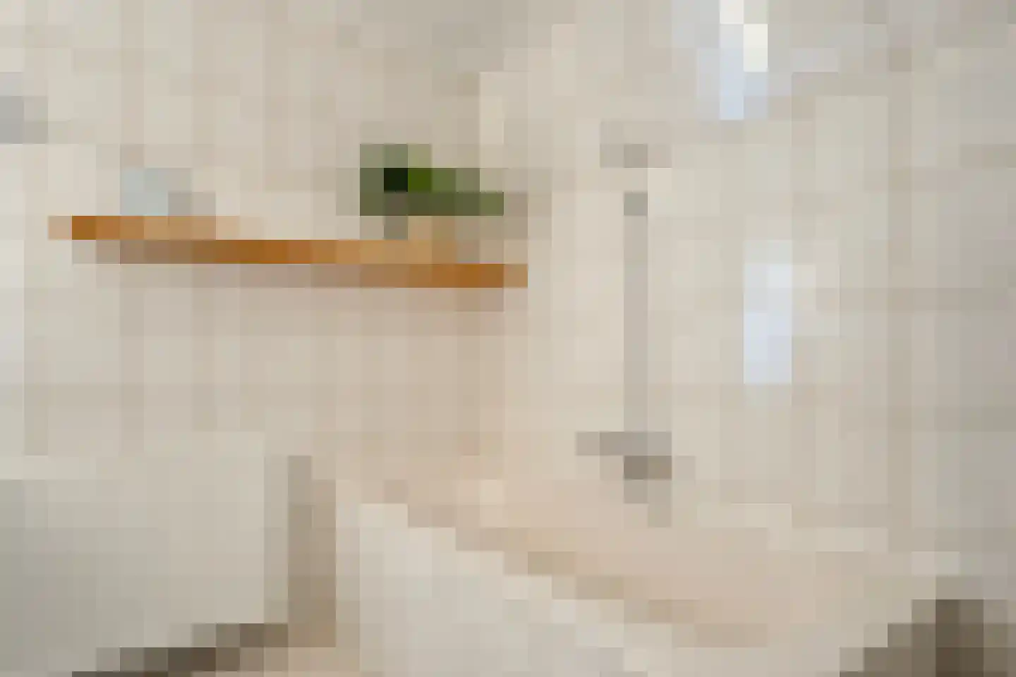 Dwingelerweg 5 a Ansen thumbnail 28