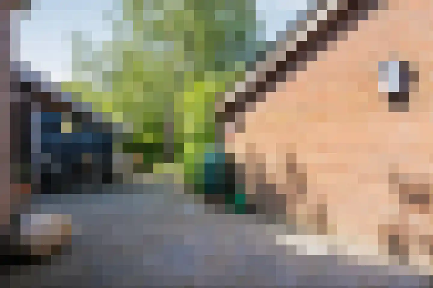 Dwingelerweg 5 a Ansen thumbnail 31