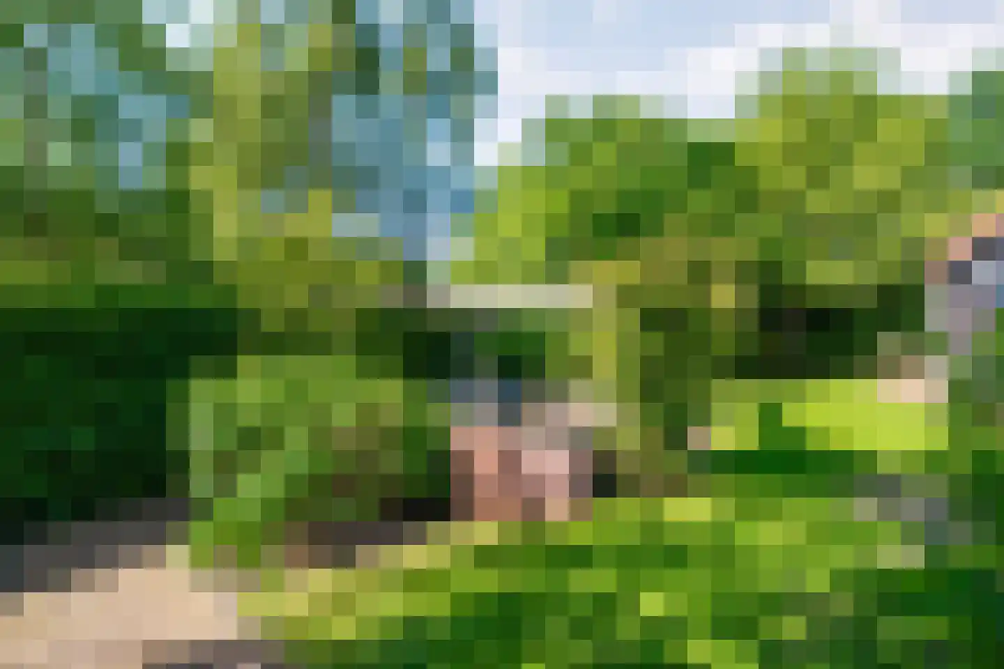 Dwingelerweg 5 a Ansen thumbnail 34