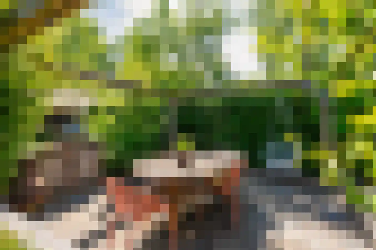 Dwingelerweg 5 a Ansen thumbnail 36
