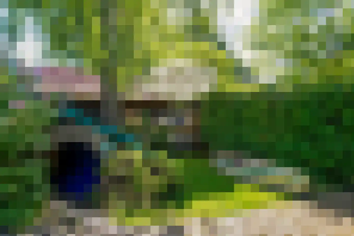 Dwingelerweg 5 a Ansen thumbnail 38