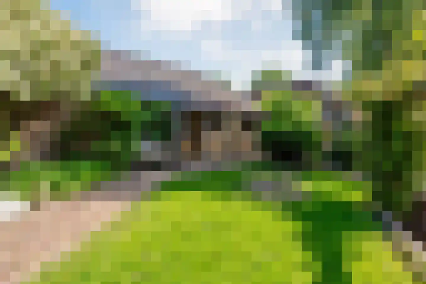 Dwingelerweg 5 a Ansen thumbnail 39