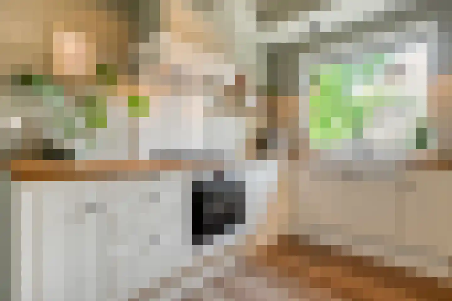 Dwingelerweg 5 a Ansen thumbnail 4