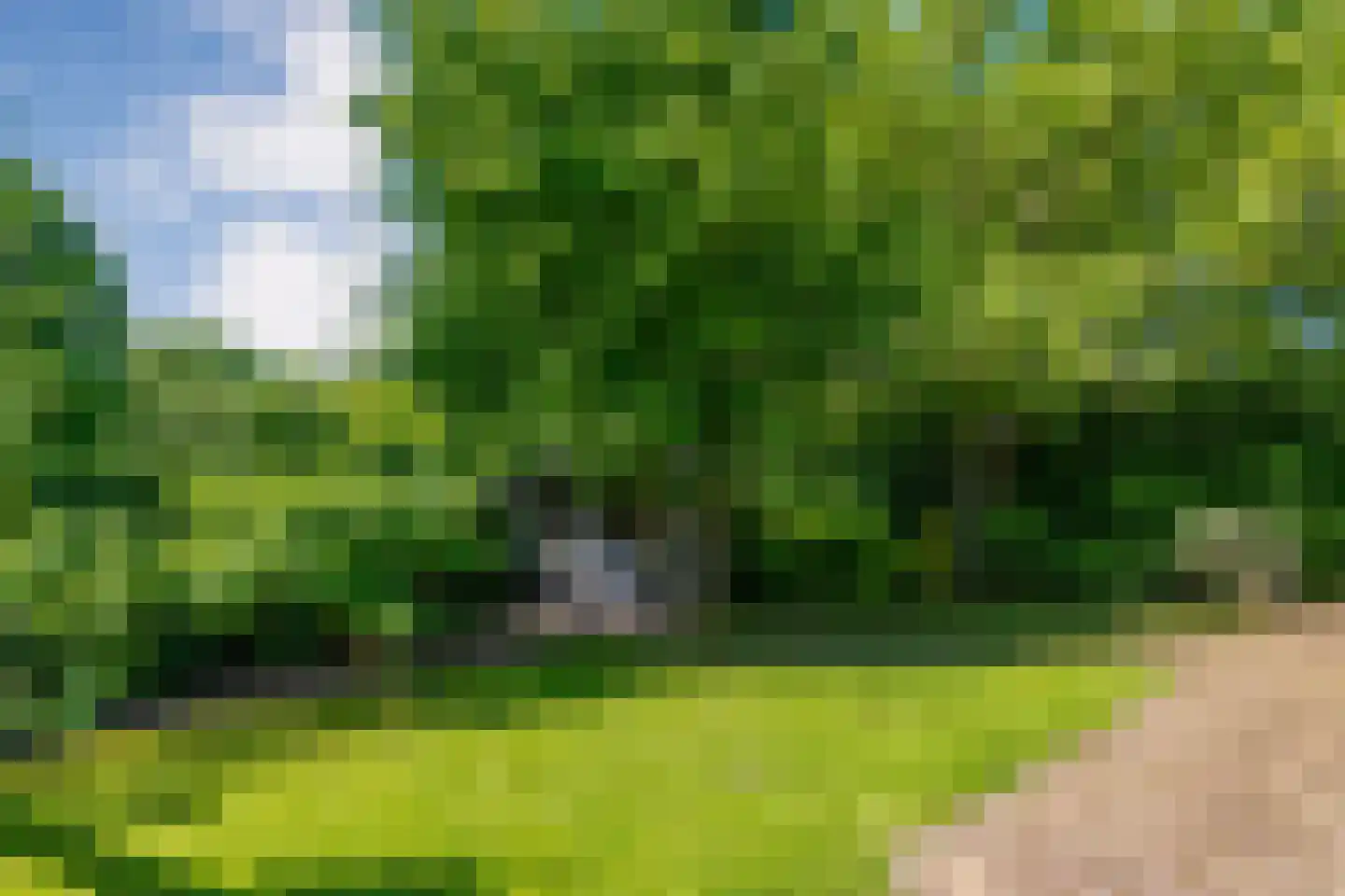 Dwingelerweg 5 a Ansen thumbnail 40