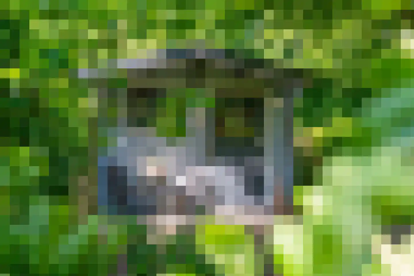 Dwingelerweg 5 a Ansen thumbnail 41