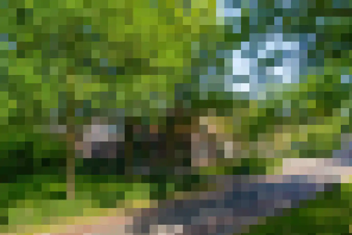 Dwingelerweg 5 a Ansen thumbnail 6