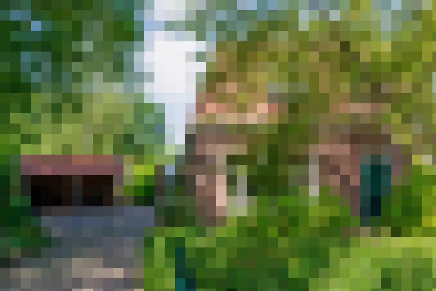 Dwingelerweg 5 a Ansen thumbnail 7
