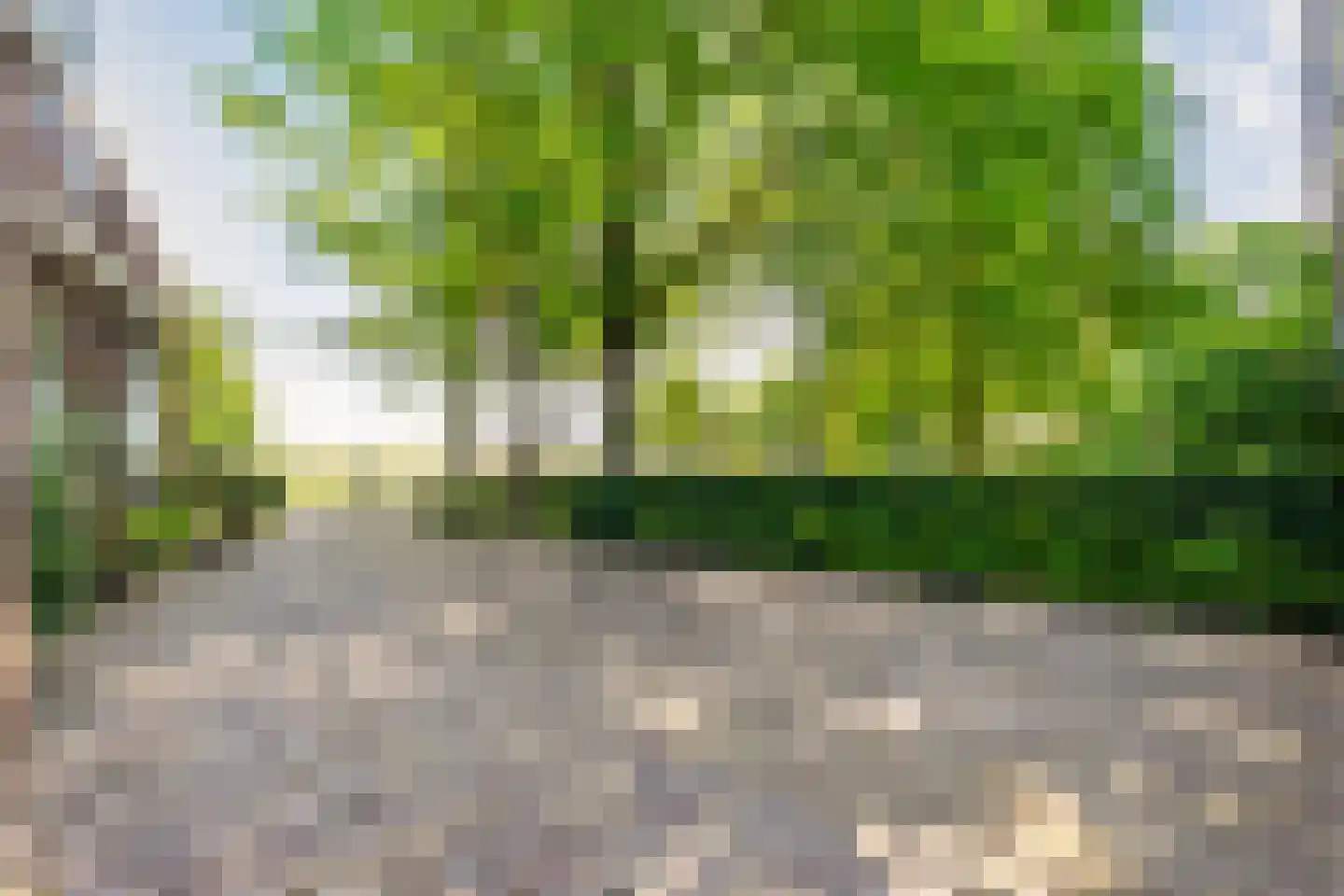 Dwingelerweg 5 a Ansen thumbnail 8