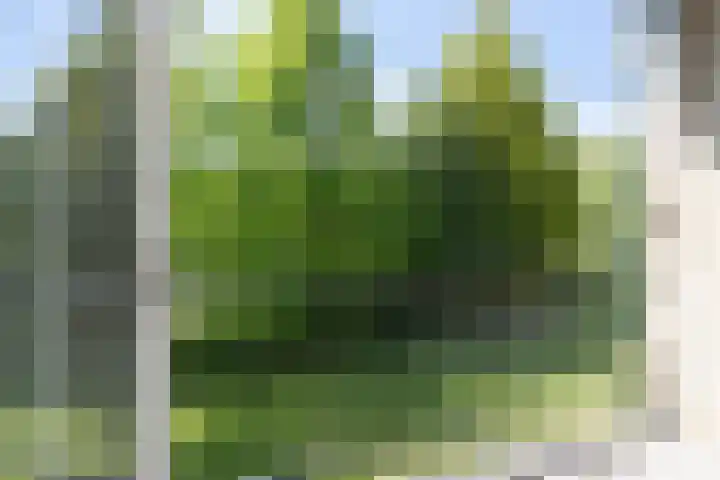 Dwingelooweg 102 Winschoten thumbnail 24