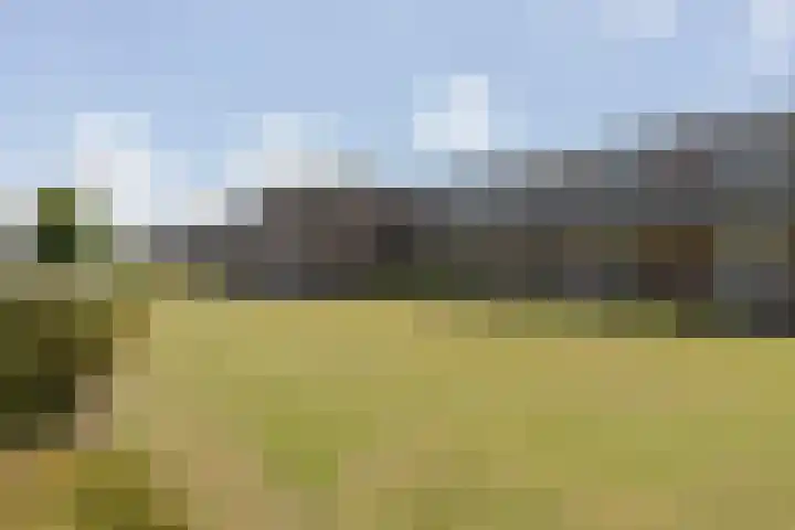Dwingelooweg 102 Winschoten thumbnail 37