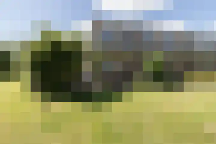 Dwingelooweg 102 Winschoten thumbnail 39