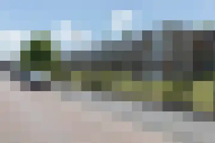 Dwingelooweg 102 Winschoten thumbnail 7