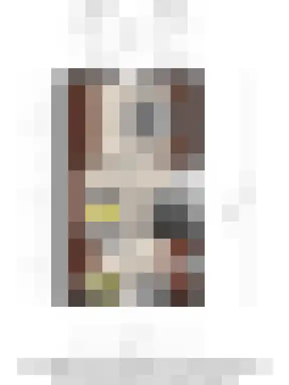 Dwingelooweg 34 Winschoten thumbnail 37