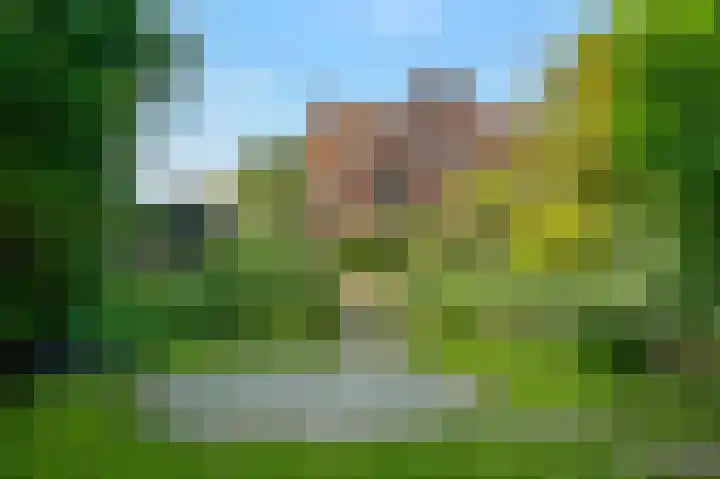 Dwingelooweg 49 Winschoten thumbnail 38