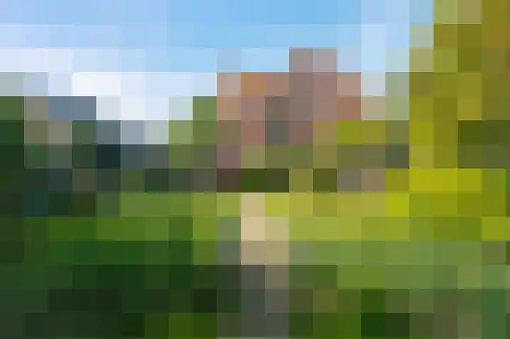 Dwingelooweg 49 Winschoten thumbnail 46