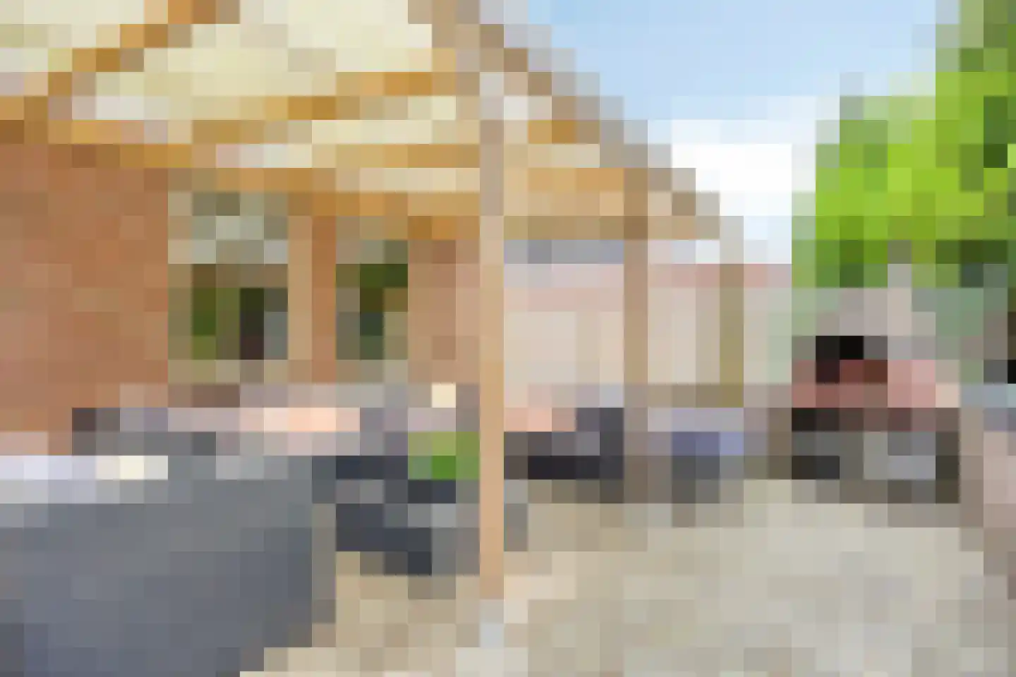 Dwingelooweg 51 Winschoten thumbnail 32