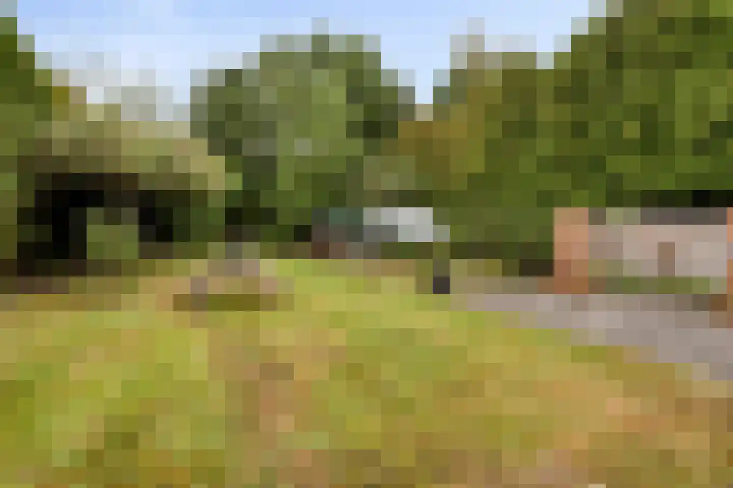 Dwingelooweg 51 Winschoten thumbnail 34