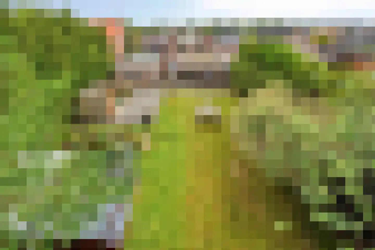 Dwingelooweg 51 Winschoten thumbnail 36