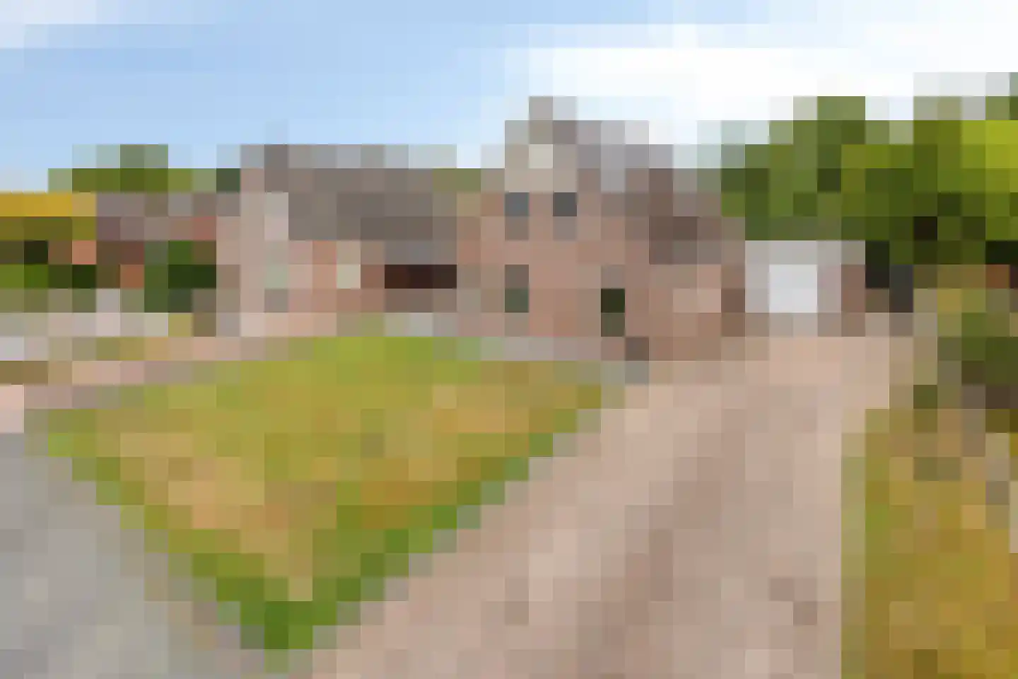 Dwingelooweg 51 Winschoten thumbnail 4