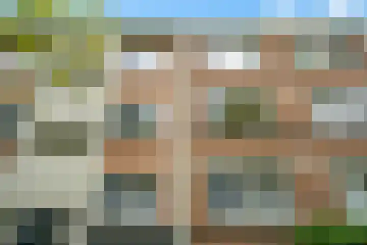 Dwingelostraat 53 Den Haag thumbnail 6