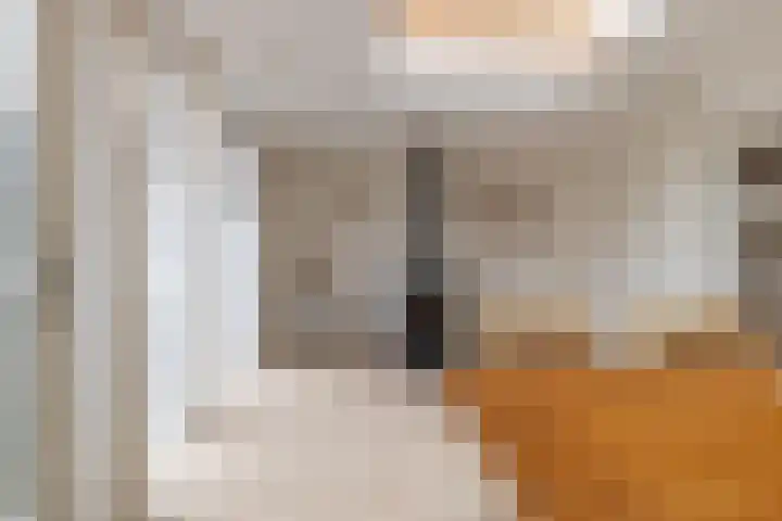 Dwinger 10 Stavoren thumbnail 11
