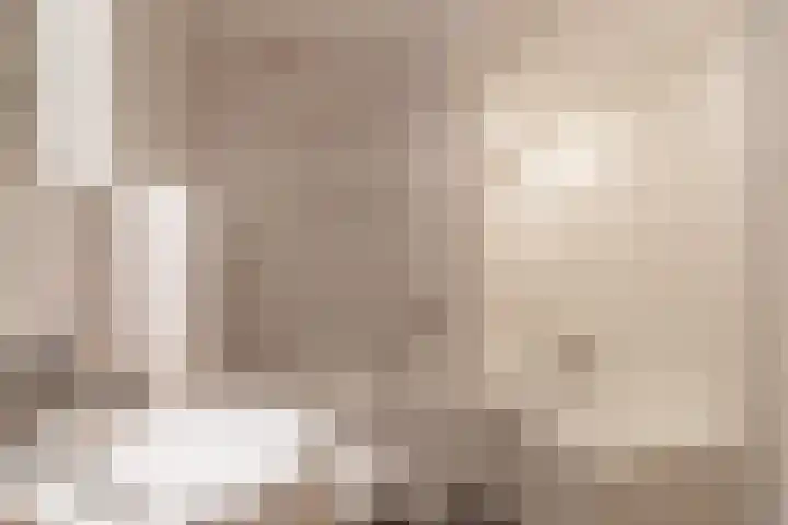 Dwinger 10 Stavoren thumbnail 15