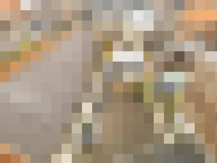 Dwinger 10 Stavoren thumbnail 26