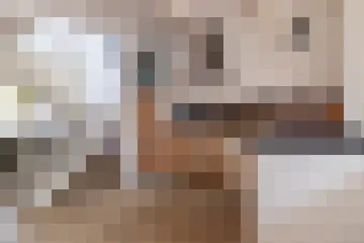 Dwinger 10 Stavoren thumbnail 7