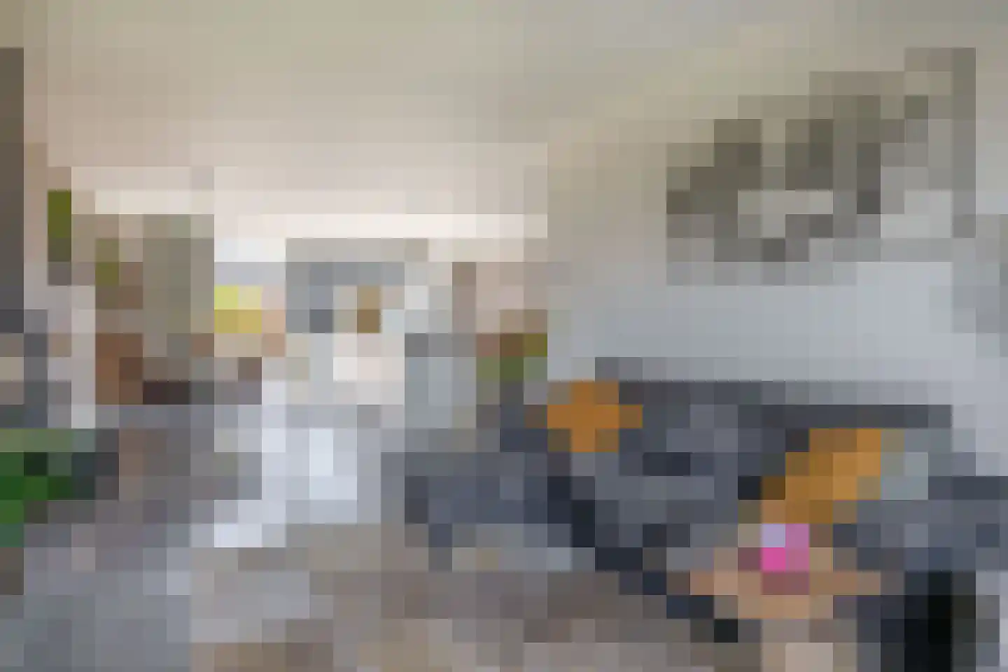 Dwinger 12 Blauwestad thumbnail 14