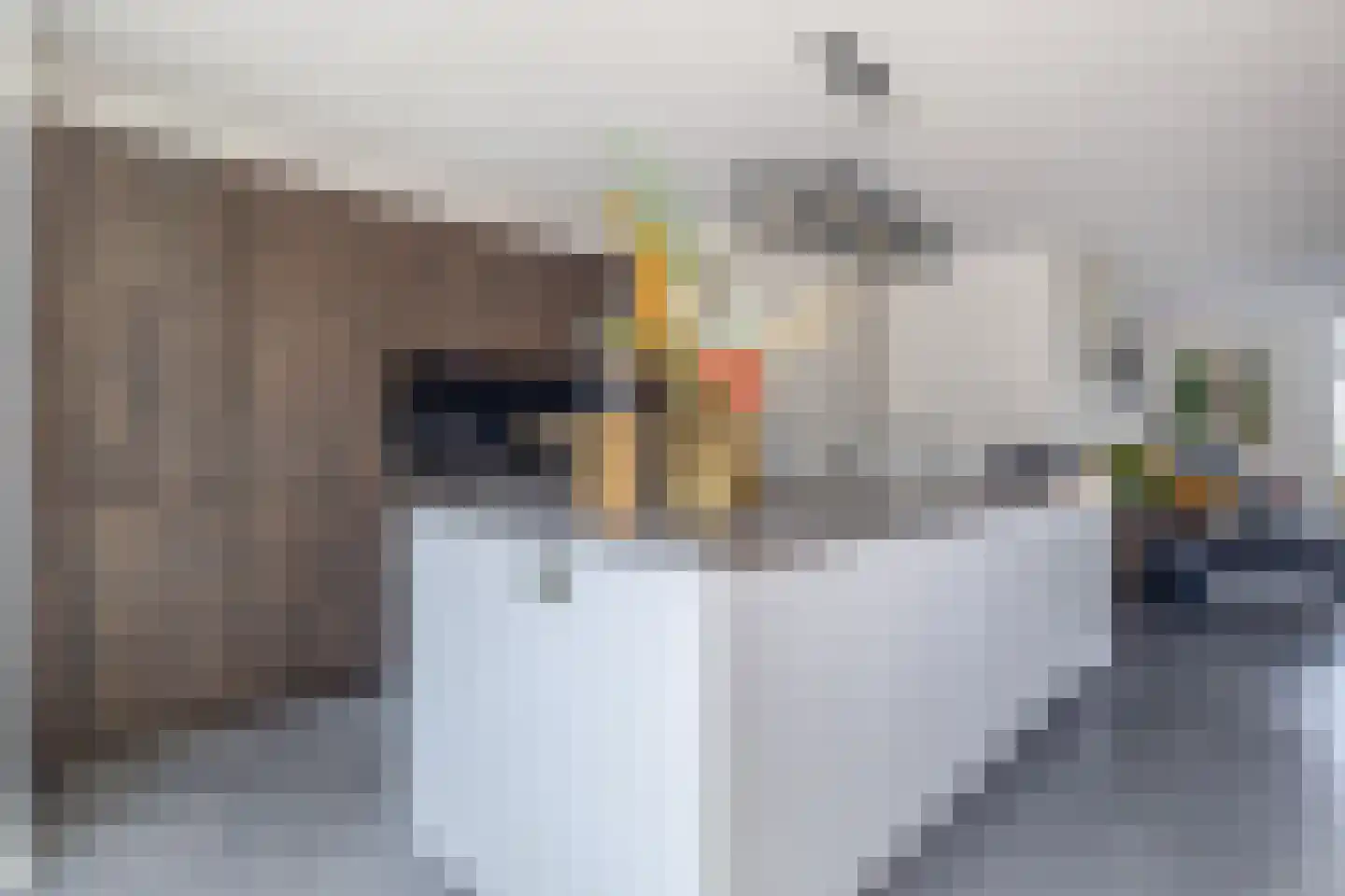 Dwinger 12 Blauwestad thumbnail 17