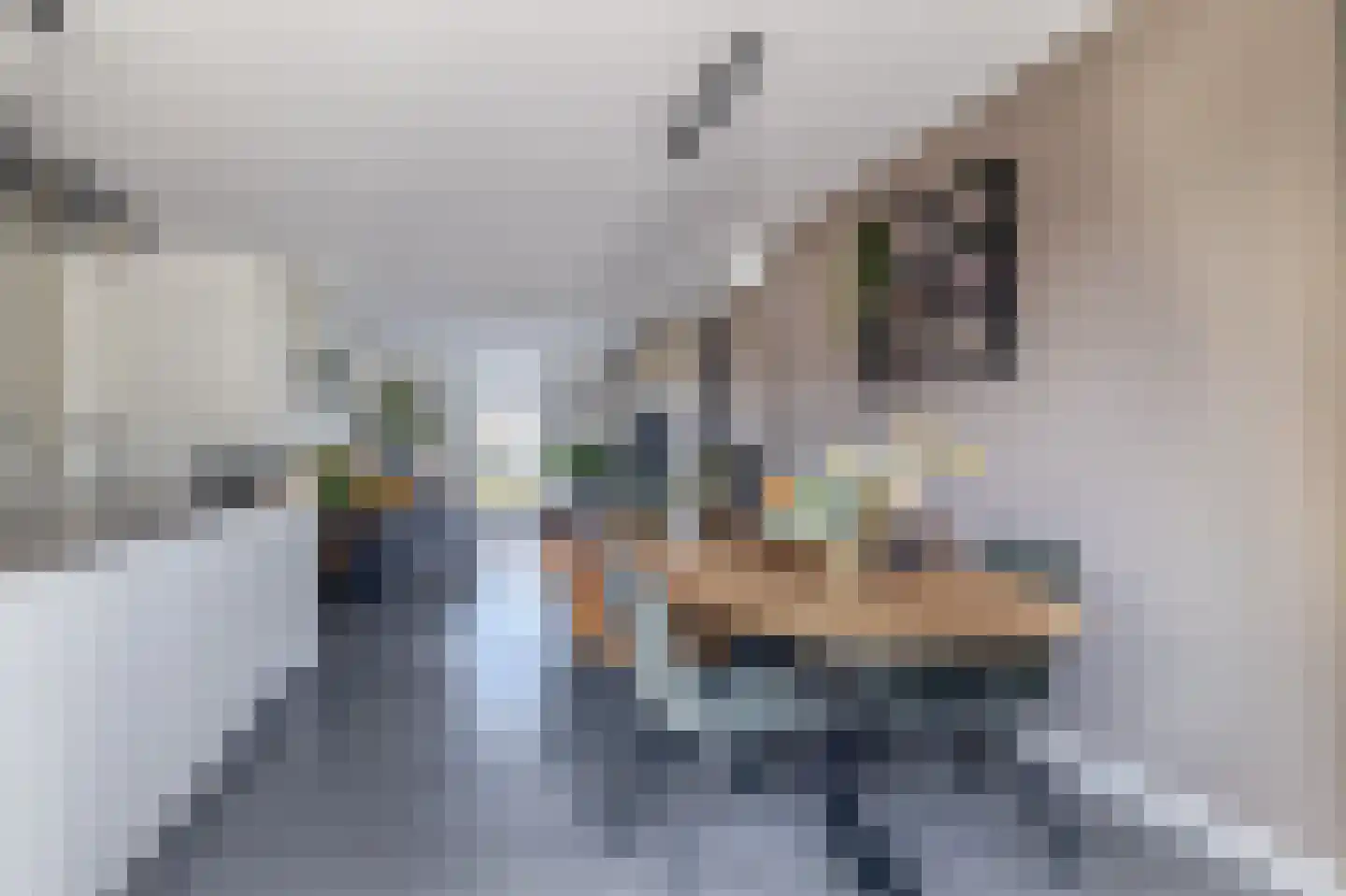 Dwinger 12 Blauwestad thumbnail 20