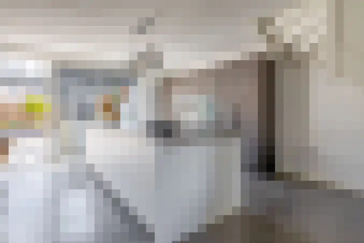 Dwinger 12 Blauwestad thumbnail 24