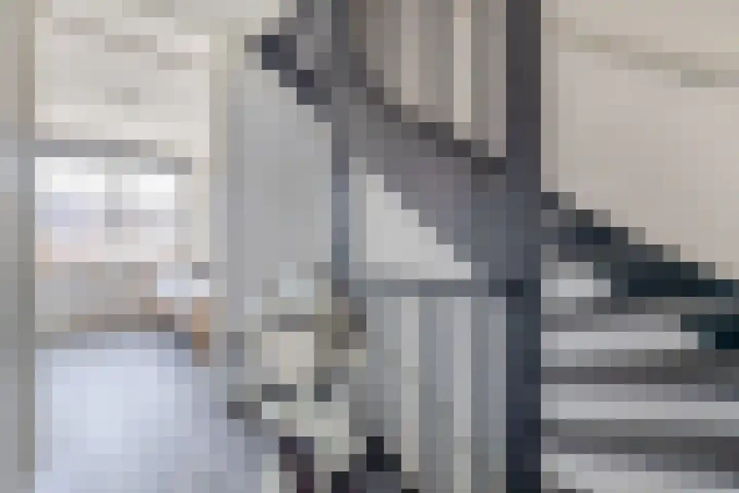 Dwinger 12 Blauwestad thumbnail 33