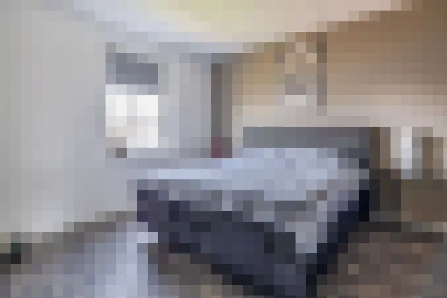Dwinger 12 Blauwestad thumbnail 35