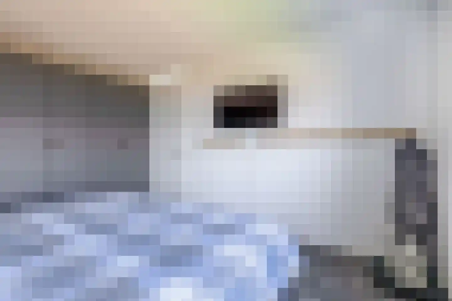 Dwinger 12 Blauwestad thumbnail 37