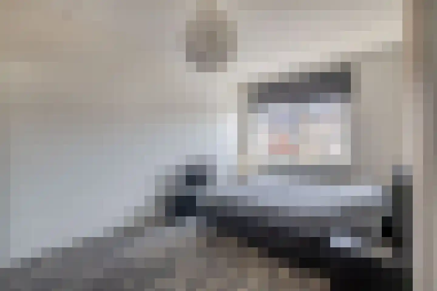 Dwinger 12 Blauwestad thumbnail 42
