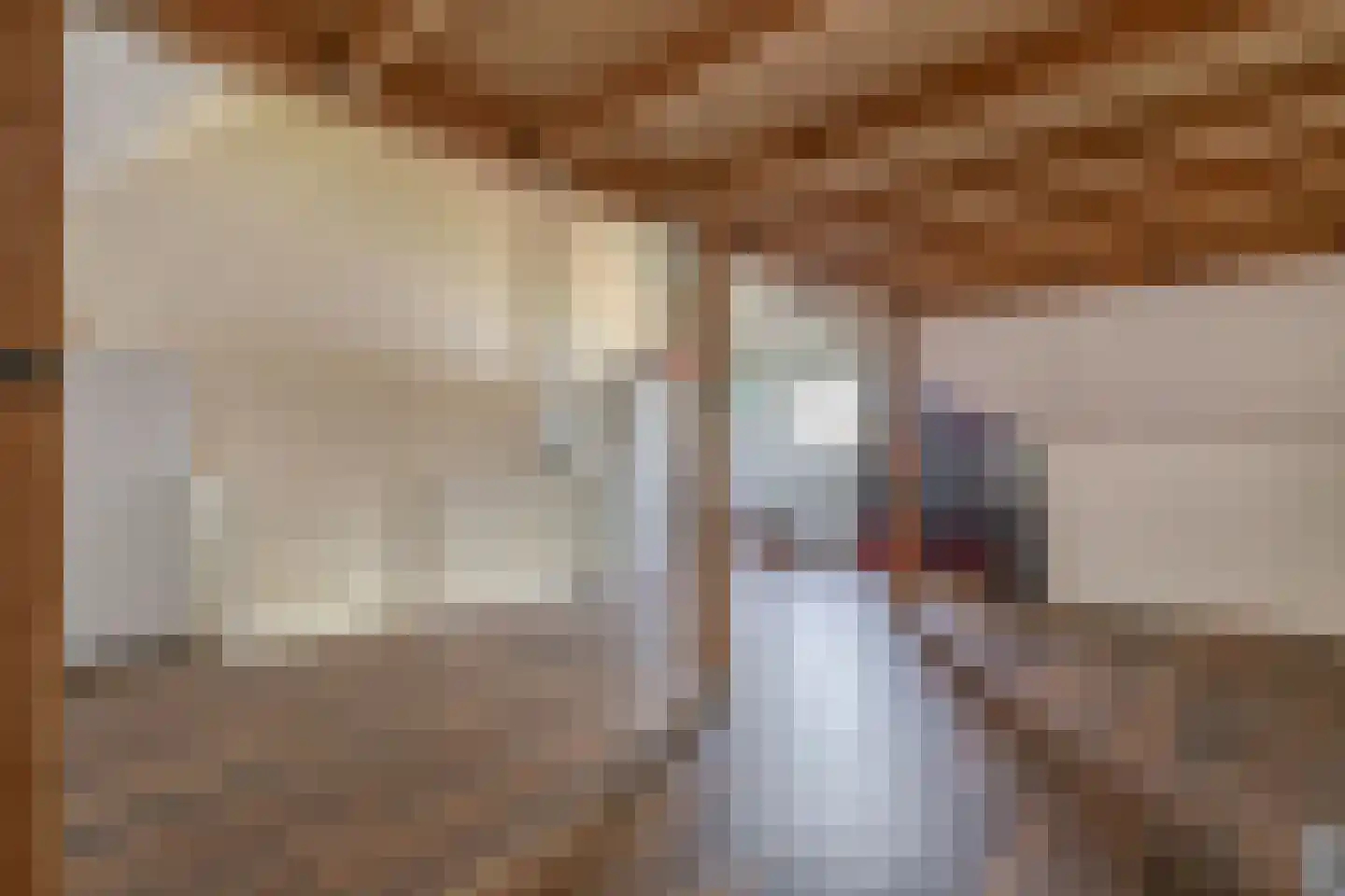Dwinger 12 Blauwestad thumbnail 45