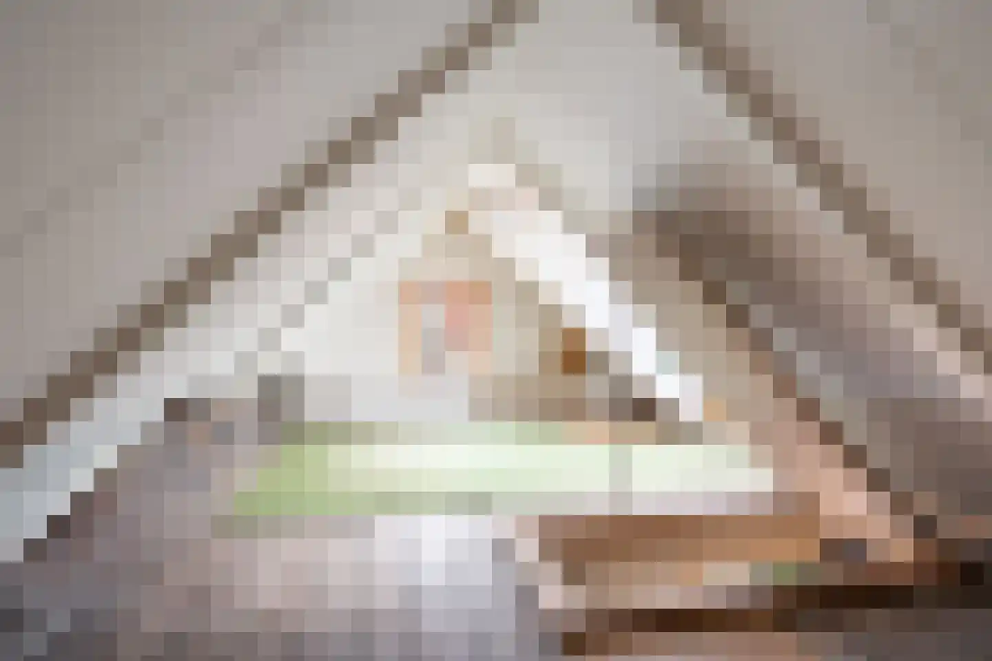 Dwinger 12 Stavoren thumbnail 30