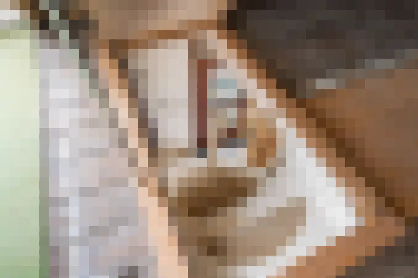 Dwinger 12 Stavoren thumbnail 32